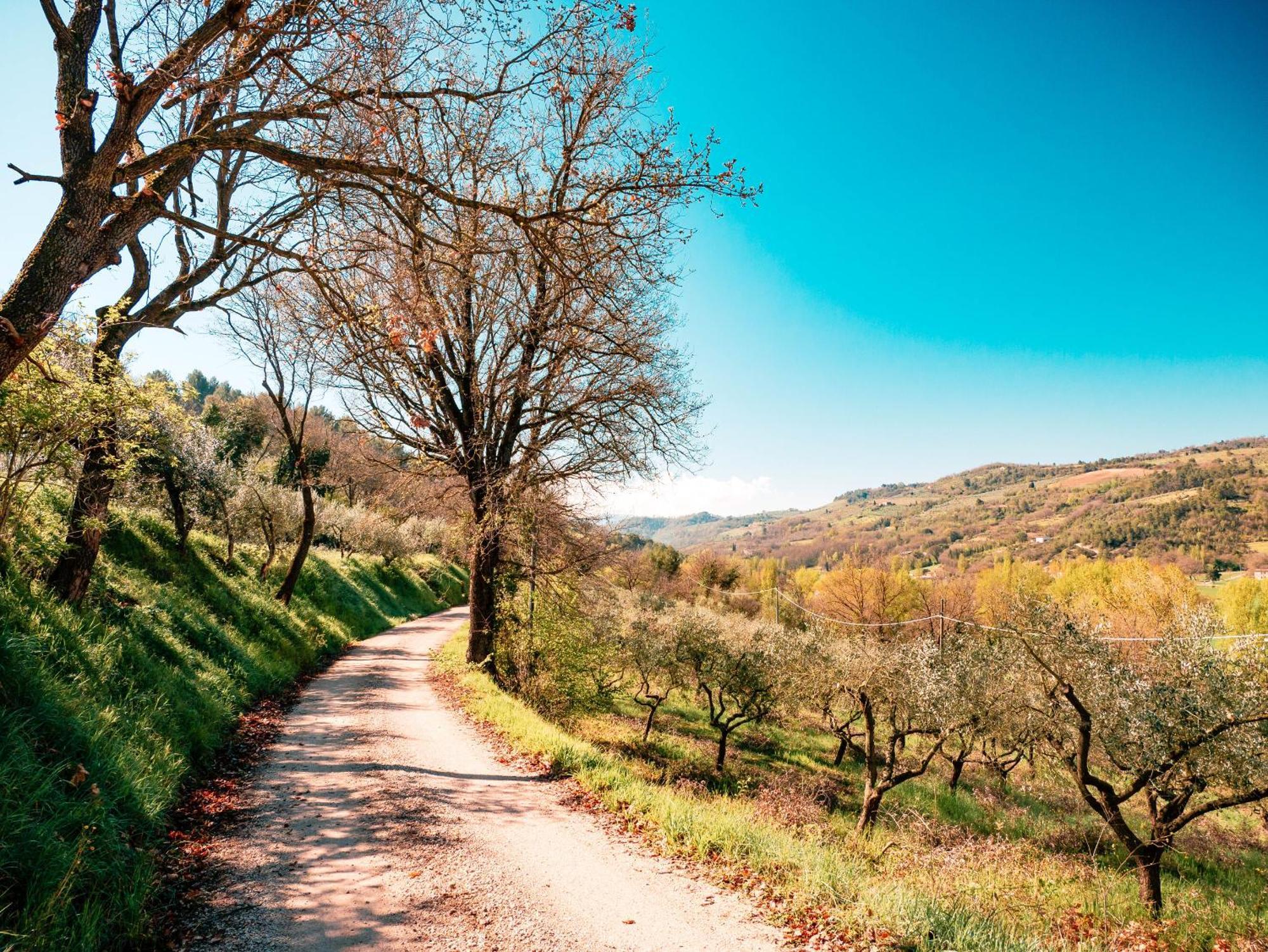 Ostello Bello Assisi Bevagna Dış mekan fotoğraf